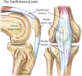 Knee Pain On The Front Of Your Joint? Learn Spring Loaded, 41% OFF